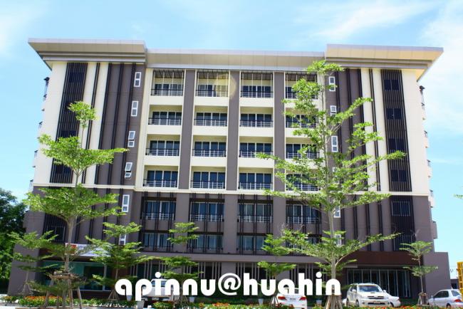 apinnu4.jpg